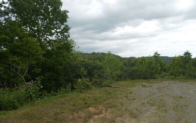 LT 39 Cascading Brook Ln, Blue Ridge, GA 30513 - photo 3