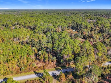 810 Paradise Blvd, Georgetown Cove, FL 32139 - photo 5