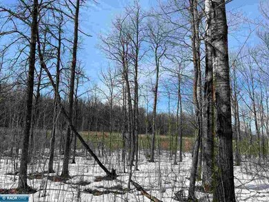 LOT 2 Swan River Reserve River Oak Dr, Pengilly, MN 55775 - photo 6