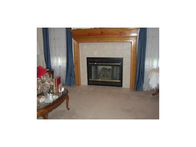 Fireplace in Living Room