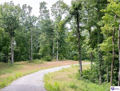Tract 14 Cook Ln, Cromwell, KY 42333 - photo 2