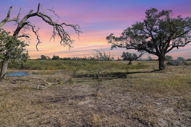 Tbd U S 77 S, Hallettsville, TX 77964 - photo 7