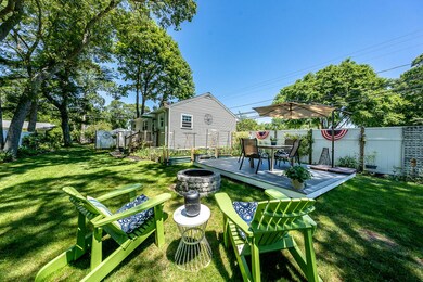 Backyard Oasis