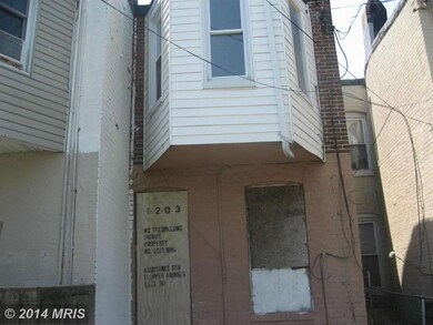 1203 N Patterson Park Ave, Baltimore, MD 21213 - photo 2