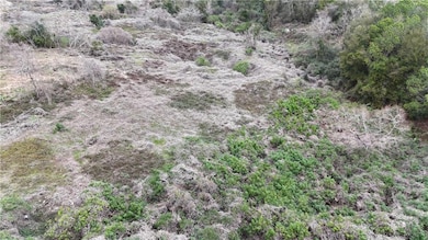 0 Rester Rd, Theodore, AL 36582 - photo 3