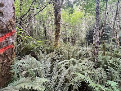 2 XX Scenic Dr NE, Poulsbo, WA 98370 - photo 7