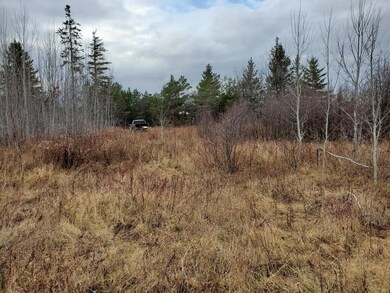 101 Allen Rd, Presque Isle, ME 04769 - photo 3