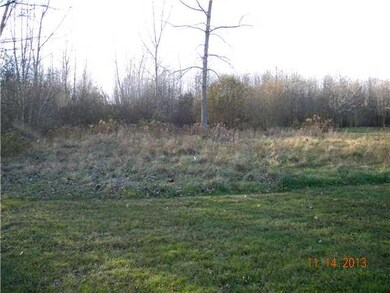 Yard/Garden. The back yard.