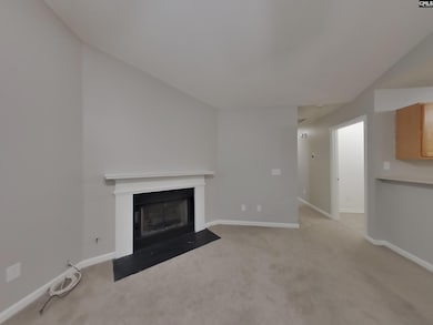 538 Providence Crossing, Columbia, SC 29203 - photo 2