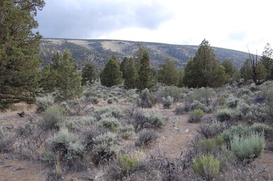 Phillips Hwy 20 7