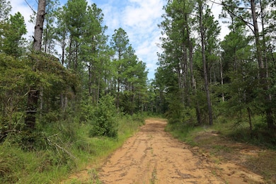 TBD Eason Rd, Columbia, LA 71418 - photo 6