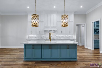 528 Plains-Port Hudson Rd, Zachary, LA 70791 - photo 6