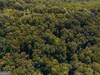 0 Shadowick Mountain Rd unit 10622865, Jasper, GA 30143 - photo 6