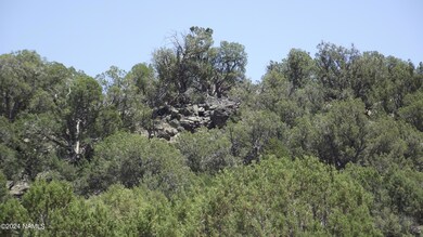 DSCF6957