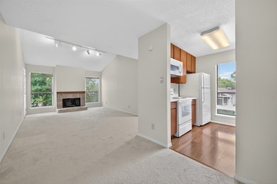 7900 N Stadium Dr unit 102, Houston, TX 77030 - photo 4