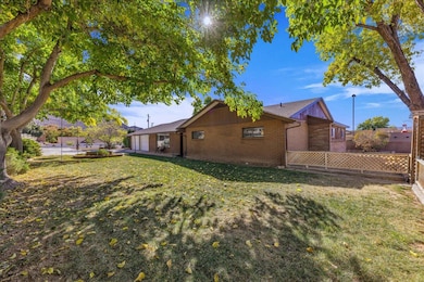 2-Backyard Pic & Big Shade Trees