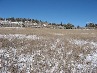 0131 Escalante Rd, El Jebel, CO 81623 - photo 6