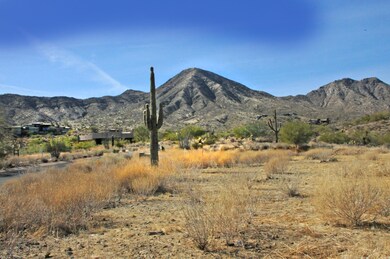 14352 E DESERT TORTOISE Trail, 30,