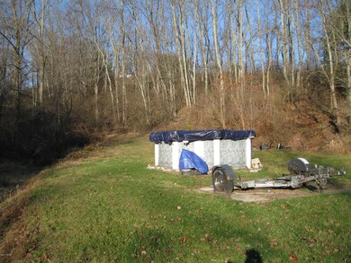 68 Savage Hollow Rd, Orangeville, PA 17859 - photo 7