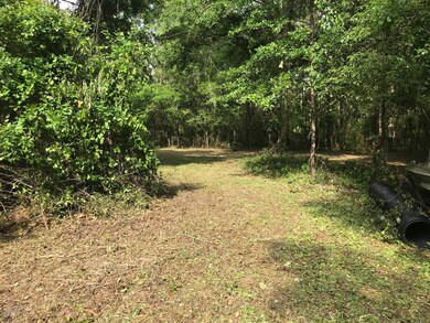 11835 Duval Rd, Jacksonville, FL 32218 - photo 3