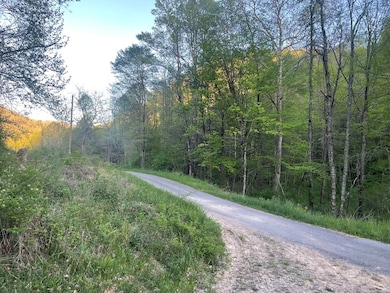 00 Bob Byrd Rd, Spanishburg, WV 25922 - photo 5