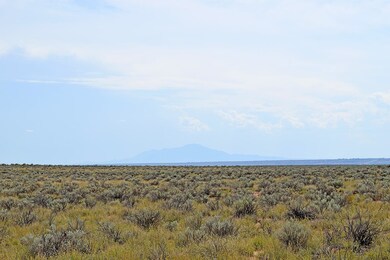 Lot 10 Rio Del Oro Loop unit 53, Los Lunas, NM 87031 - photo 6