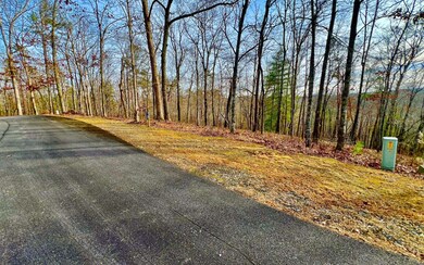 LT209 Harris Ridge Dr, Ellijay, GA 30540 - photo 5