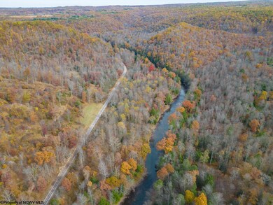 1092 Hinkle Ridge Rd, French Creek, WV 26218 - photo 7