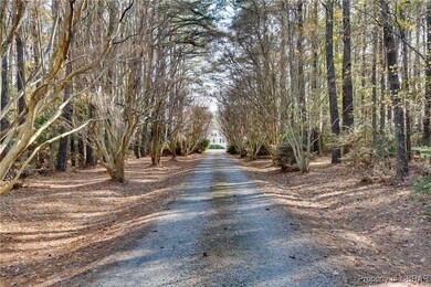 Drive lined with crepe myrtles