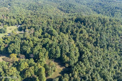 8111 White Oak Flatt Rd, Sparta, TN 38583 - photo 7