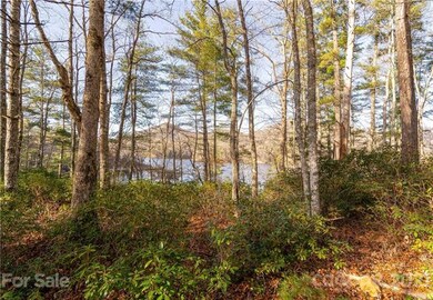 This could be your view!