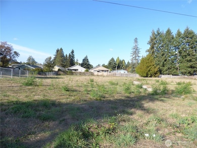 239 170th St E, Spanaway, WA 98387 - photo 3