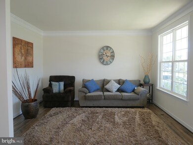 24113 Coty Crest Ct, Stone Ridge, VA 20105 - photo 4