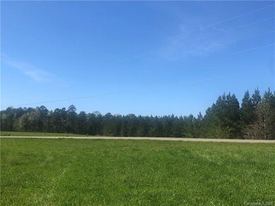 O N Carolina 73, Iron Station, NC 28080 - photo 5