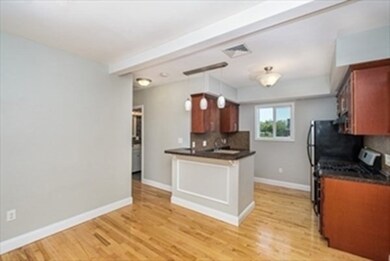 348 Norfolk St unit 3, Cambridge, MA 02139 - photo 3