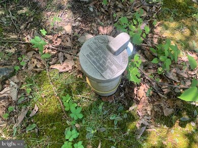 296 High Mountain View Rd, Romney, WV 26757 - photo 3