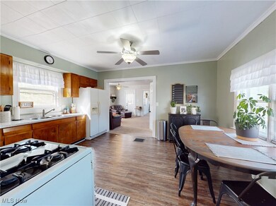 129 S Cedar St, Geneva, OH 44041 - photo 4