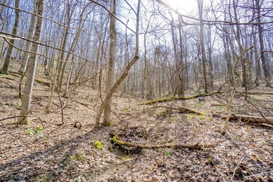 33996 W Buckingham Rd, Logan, OH 43138 - photo 5