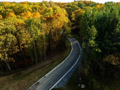 Aerial of Drive