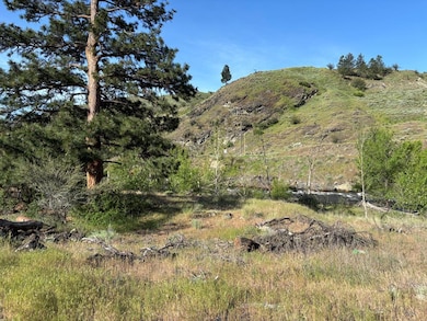 TBD Abby Ln unit 5, Pollock, ID 83547 - photo 7