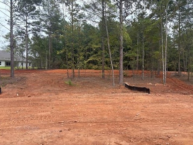 603 Eagle Heights Dr, Maysville, GA 30558 - photo 6