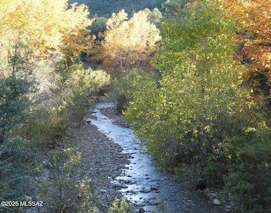 Creek autumn colors