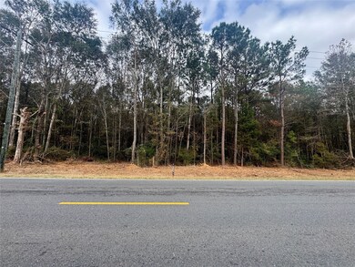 0 Keithville-Springridge Rd, Keithville, LA 71047 - photo 4