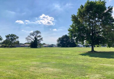 Backyard!