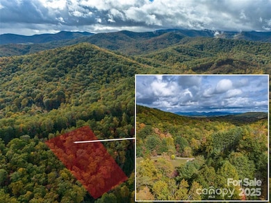 99999 Mills River Way unit Lot 107, Mills River, NC 28742 - photo 3