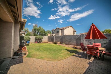 Backyard 3