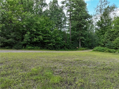 313 1 4 St, Rice Lake, WI 54868 - photo 3