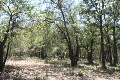 116 Marsh Salt Ct, Springtown, TX 76082 - photo 4