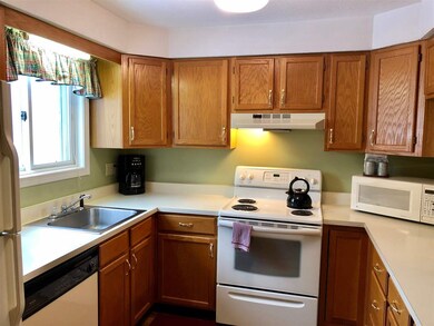 16 Grant Dr unit 158, Woodstock, NH 03262 - photo 6
