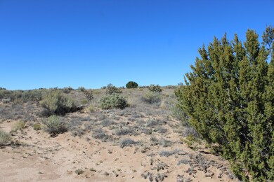 0 51st Ave NW unit 1094048, Rio Rancho, NM 87144 - photo 7